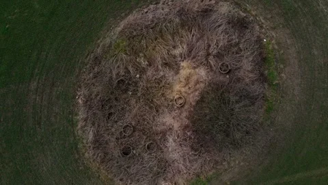 Top down aerial view of a green meadow nature preserve pasture in Brandenbu.. Video stock 244220791