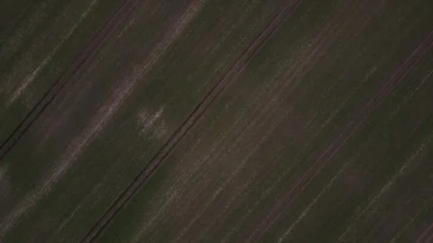 Top down aerial view of a green meadow nature preserve pasture in Brandenbu.. 스톡 동영상 244220831