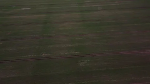Top down aerial view of a green meadow nature preserve pasture in Brandenbu.. 스톡 동영상 244220848