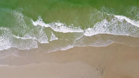 Top down aerial view of green beach and white waves Stock Footage 262846351