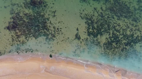 Top Down Aerial View of Green Coastal Water and Sandy Shore Stock Footage 325292323