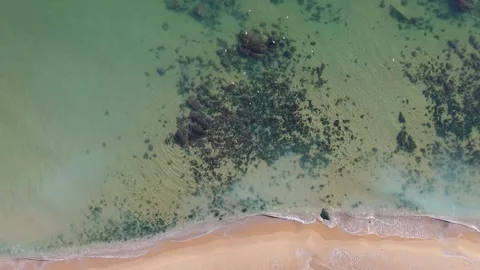 Top Down Aerial View of Green Coastal Water and Sandy Shore Video stock 325292335