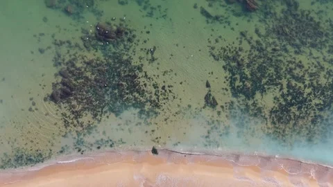 Top Down Aerial View of Green Coastal Water and Sandy Shore Stock Footage 325292361