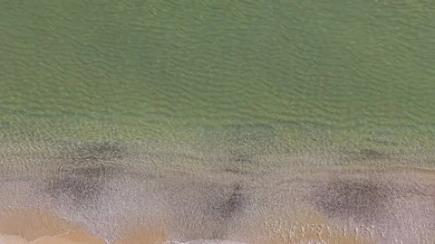 Top Down Aerial View of Green Sea Water and Shoreline Stock Footage 325292393