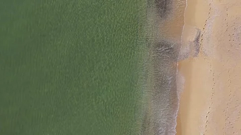 Top Down Aerial View of Green Sea and Sandy Beach Stock Footage 325292569