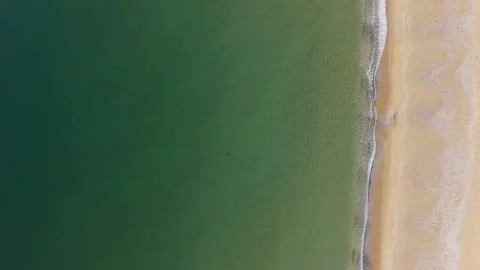 Top Down Aerial View of Green Sea and Sandy Beach Stock Footage 325292594