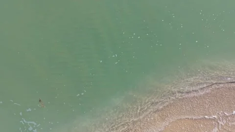 Top Down Aerial View of Green Sea Water and Sandy Shore Stock Footage 325720023