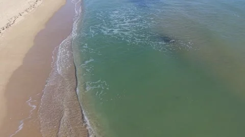 Top Down Aerial View of Green Sea Water and Sandy Shore Stock Footage 325720082