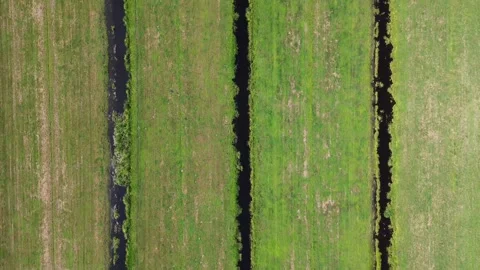 Top-Down Aerial View of Green Polder Fields near Loetbos, Krimpen aan den IJssel Video stock 342096337
