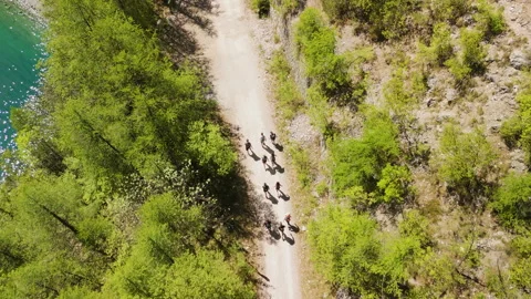 Top-down aerial view of a group of hikers walking along trail through an alpine Stock Footage 342264923