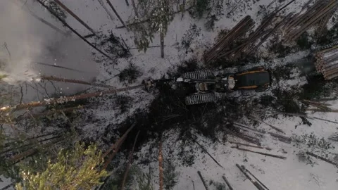 Top down Aerial view of harvester logging a trees in the winter forest Stock Footage 150144175
