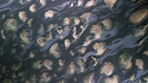 Top down aerial view if black sand beach with grass mounds near Stokksnes i.. Stock-Footage 315801690