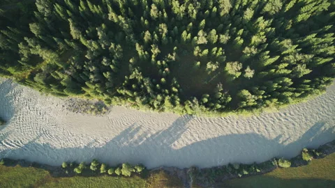 Top-Down Aerial View of Kashgar River Valley in Tangbula, Nilka, Xinjiang Stock Footage 345489381