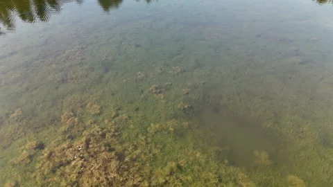 Top Down Aerial View of Lakebed Through Clear Water in Templemore Town Park Stock Footage 332672995