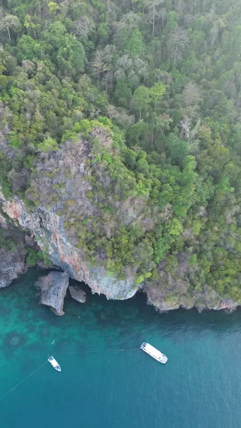 Top Down Aerial View of Limestone Cliffs and Emerald Sea, Phi Phi Stock Footage 344547723