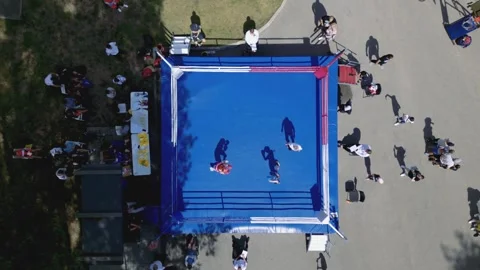 Top-down aerial view of the MMA fighting competition Stock Footage 248765078