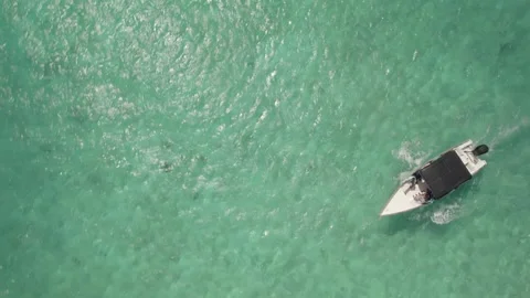 Top-Down Aerial View of a Motorboat Cruising Through Turquoise Caribbean Waters 動画素材 347124905