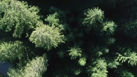 Top-down aerial view of a narrow paved road winding Stock Footage 330726691