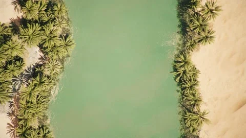 Top down aerial view of oasis in desert Stock Footage 183059684