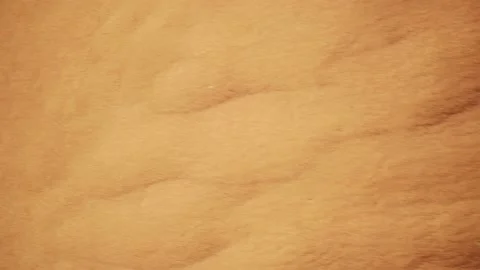 Top down aerial view of oasis in desert Stock Footage 183060182