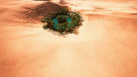 Top down aerial view of oasis in desert Illustrazione stock