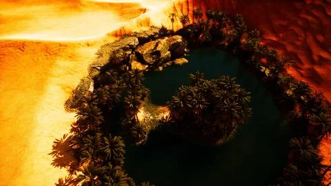Top down aerial view of oasis in desert 库存插图