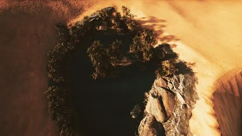 Top down aerial view of oasis in desert Stock Illustration