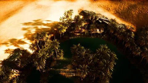 Top down aerial view of oasis in desert 스톡 일러스트
