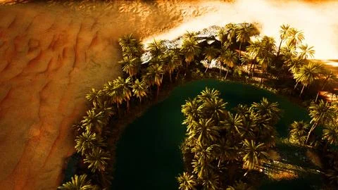 Top down aerial view of oasis in desert 스톡 일러스트