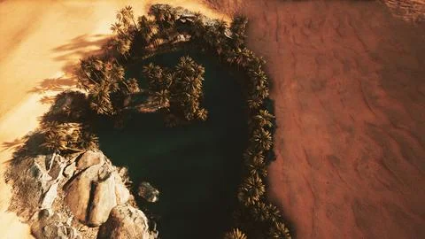 Top down aerial view of oasis in desert Stock Illustration