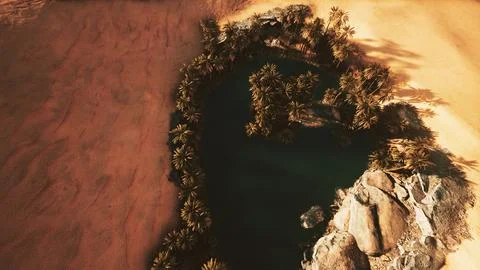 Top down aerial view of oasis in desert Stock Illustration