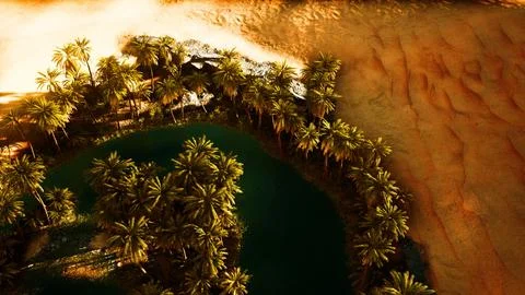 Top down aerial view of oasis in desert 库存插图