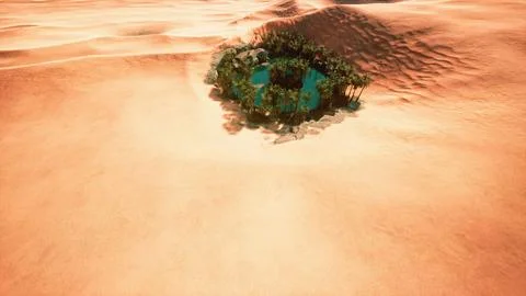 Top down aerial view of oasis in desert 库存插图