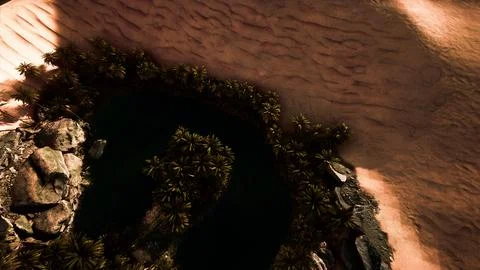 Top down aerial view of oasis in desert 스톡 일러스트