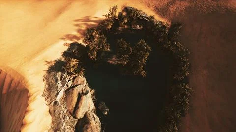 Top down aerial view of oasis in desert Illustrazione stock