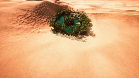 Top down aerial view of oasis in desert 스톡 일러스트
