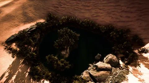Top down aerial view of oasis in desert 스톡 일러스트