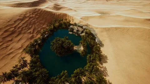 Top down aerial view of oasis in desert 스톡 일러스트