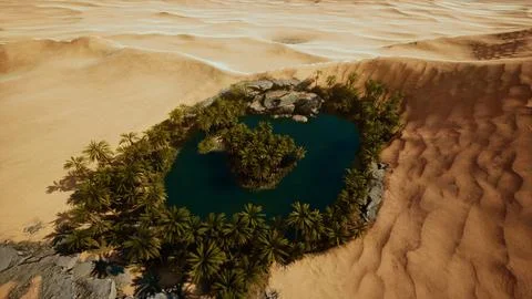 Top down aerial view of oasis in desert Stock Illustration