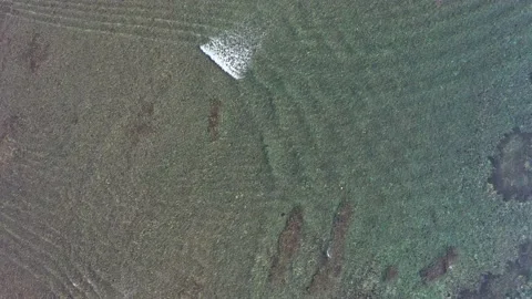 Top down aerial view of ocean waves crashing and foaming at coral reef Stock Footage 135481667