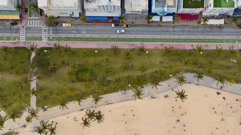 Top Down Aerial View of Ocean Drive Street Park and Beach in Miami Florida Stock Footage 312178572