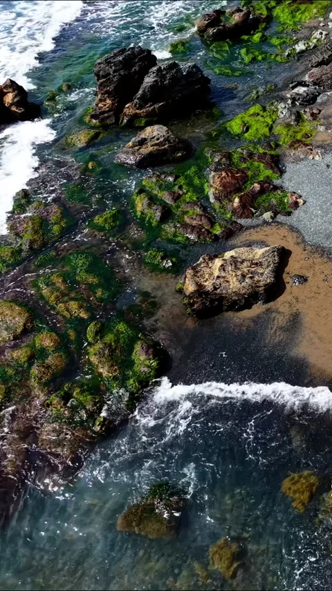 Top Down Aerial View Of Ocean Waves Crashing On Sandy Beach Vertical Stock Footage 333598117