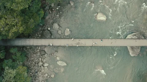 Top down aerial view of people on a footbridge over a tropical river Stock Footage 146343475