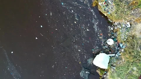 Top-Down Aerial View of Plastic Trash and Pollution on Shore Stock Footage 321679440