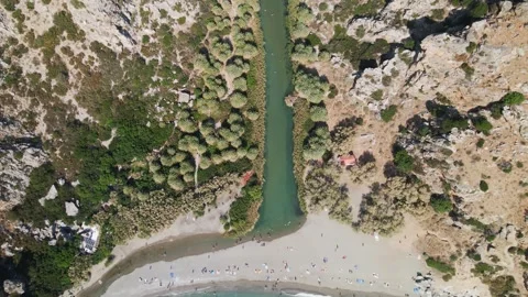 Top down aerial view of Preveli Palm Beach and the river in Crete 스톡 동영상 345495481