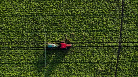 Top down aerial view process of spraying with chemicals and pesticides fields Video stock 223605481