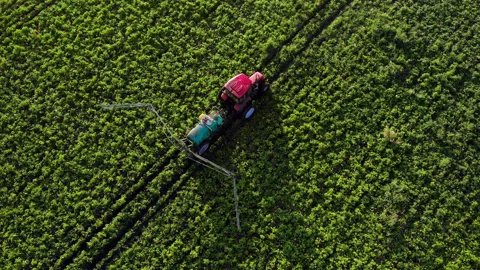 Top down aerial view process of spraying with chemicals and pesticides fields Video stock 224049912