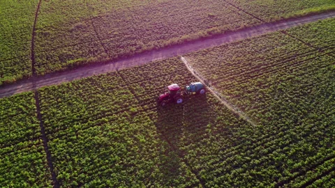 Top down aerial view process of spraying with chemicals and pesticides fields Video stock 224194171