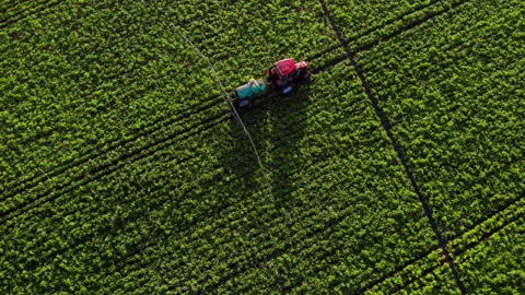 Top down aerial view process of spraying with chemicals and pesticides fields Video stock 225204641