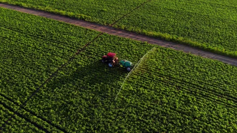 Top down aerial view process of spraying with chemicals and pesticides fields Video stock 227061637